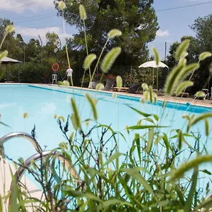 Inout , La Floresta Pearson Espanha